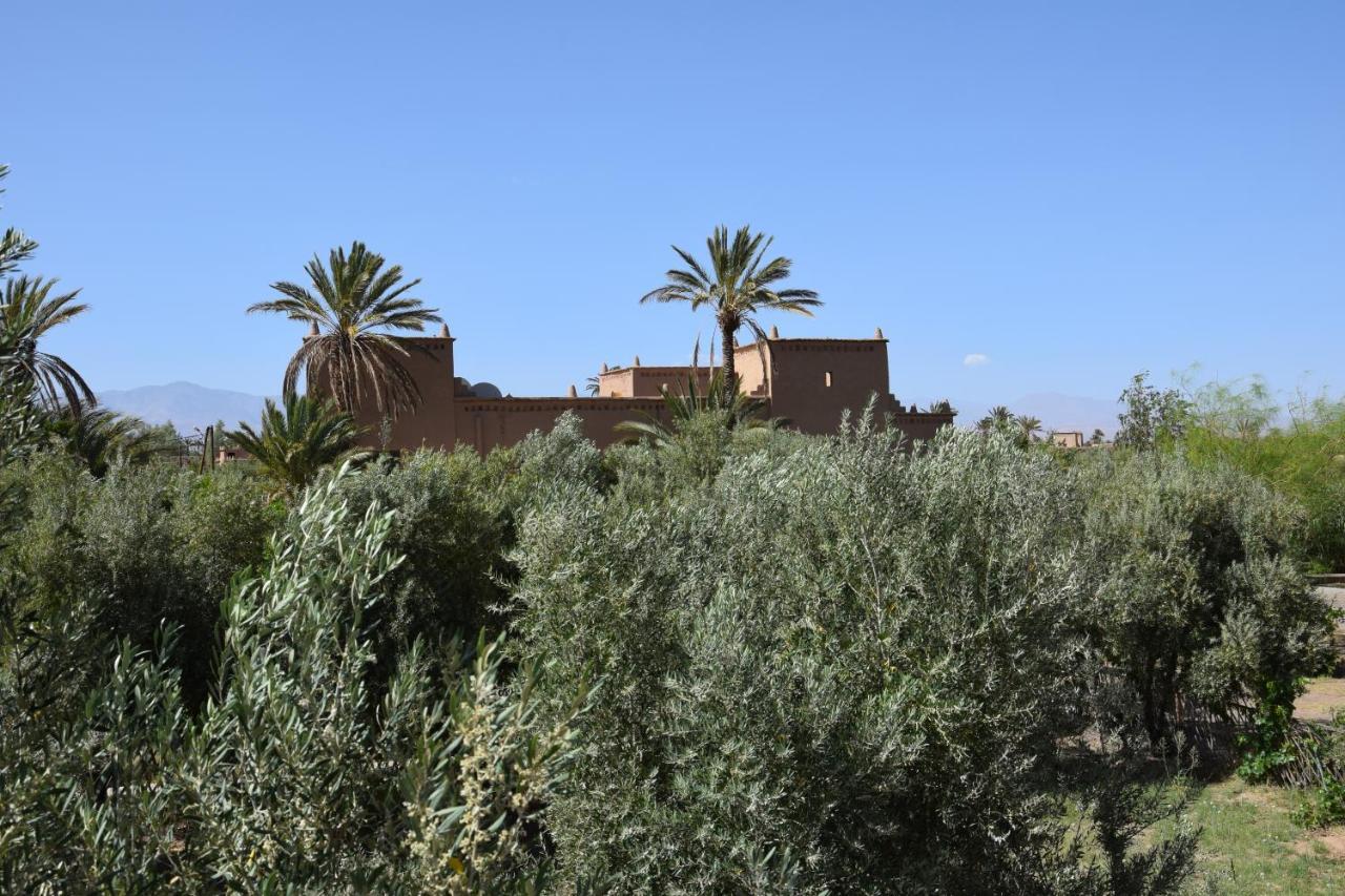 Kasbah 123 Soleil Hotell Skoura Eksteriør bilde